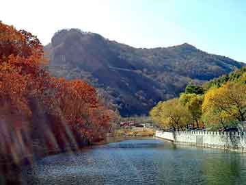 天天彩好彩天天免费，鸿蒙大道